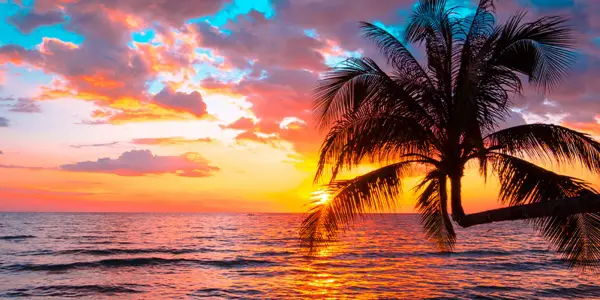 دیدنیهای بوشهر