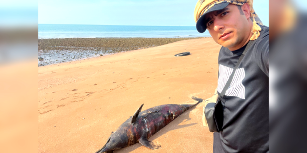 ولاگ سفر به جزیره قشم و هرمز و لارک