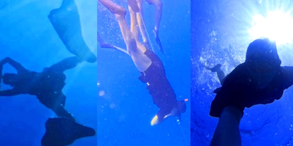 آموزش غواصی آزاد فری دایوینگ