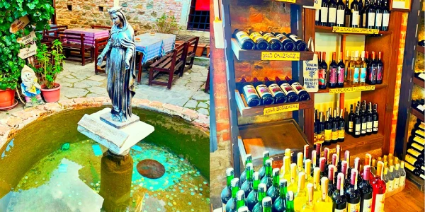 ولاگ سفر به شیرینجه ترکیه مزرعه شراب ها