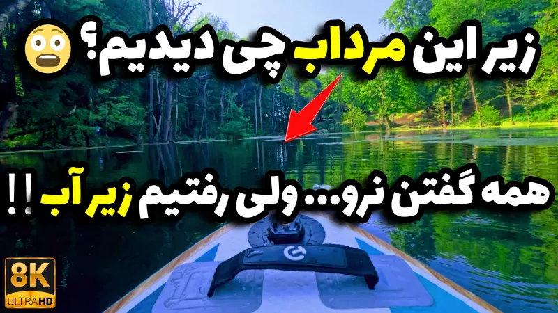 🐸 زیر مرداب دریوک چه خبره؟ | کشف دنیای پنهان و شگفتانگیز در قلب کلاردشت