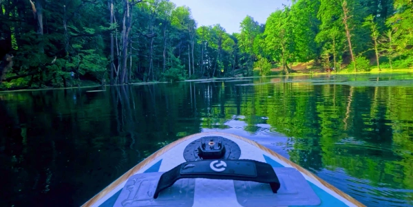 🐸 زیر مرداب دریوک چه خبره؟ | کشف دنیای پنهان و شگفت‌انگیز در قلب کلاردشت